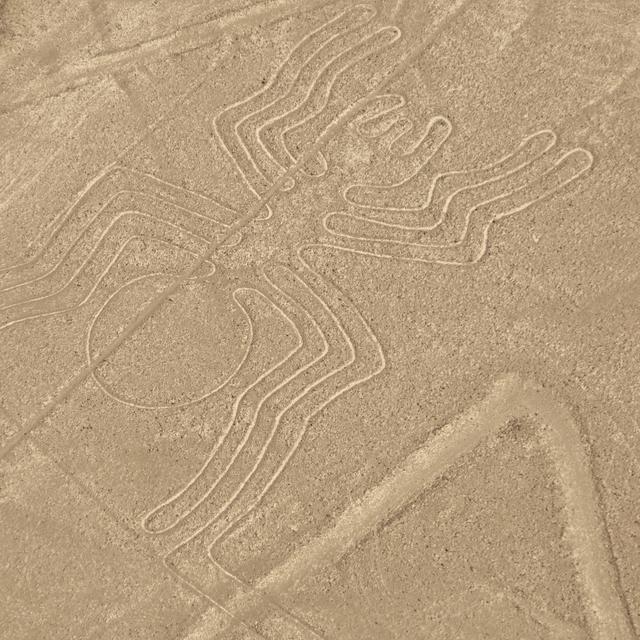 L'araignée, l'un des géoglyphes de Nazca au Pérou. [Depositphotos - jekershner7]