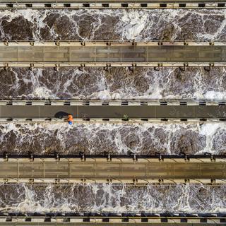 Un bassin de traitement des eaux usées dans l'ancienne partie de la Station d'épuration (STEP) de Vidy. Lausanne, août 2020. [Keystone - Jean-Christophe Bott]