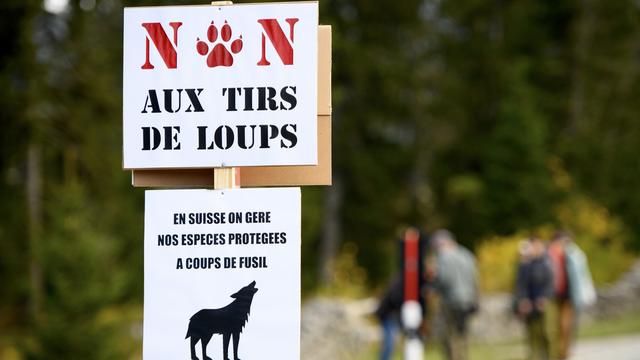 Des pancartes "Non au tirs de loups" et En Suisse on gere nos especes protegees a coups de fusil" lors d'une manifestation contre le tir du loup ce samedi 9 octobre 2021 au Col du Marchairuz a Le Chenit dans le canton de Vaud. [Keystone - Laurent Gillieron]