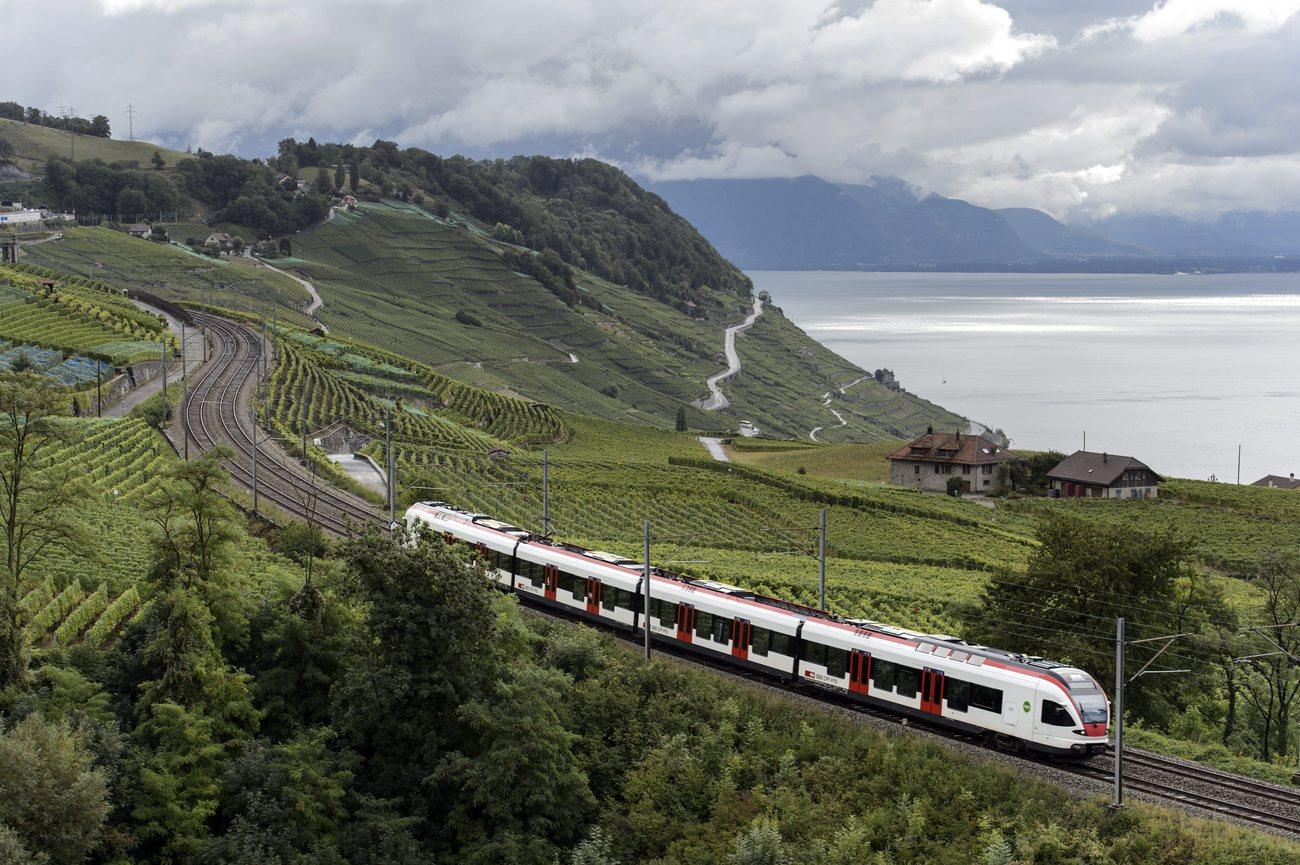 Un train régional roule dans le vignoble de Lavaux, entre Puidoux et Lausanne. [Keystone - Laurent Gillieron]