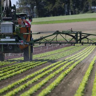 Un tracteur applique des pesticides sur un champ de laitues près de Birmenstorf (AG) le 17 septembre 2019. [Keystone - Christian Beutler]