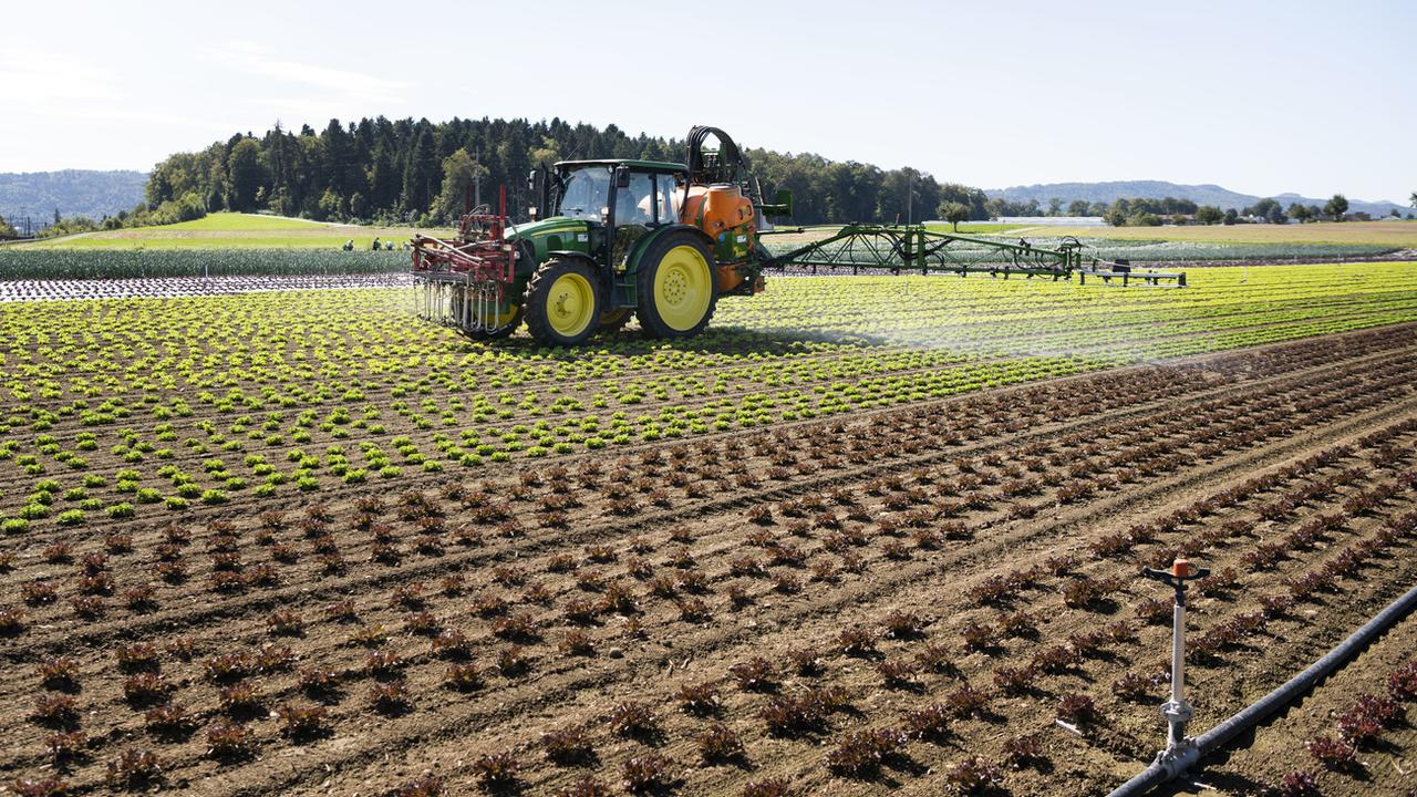 Fribourg présente un paquet de mesures pour limiter les produits phytosanitaires (image d'illustration). [Keystone - Christian Beutler]