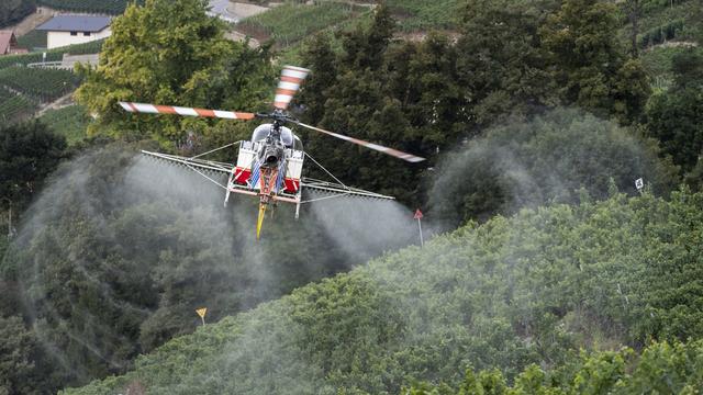 Un hélicoptère d'Air-Glaciers traite des vignes dans la région de Sierre (VS). [KEYSTONE - Alessandro della Valle]