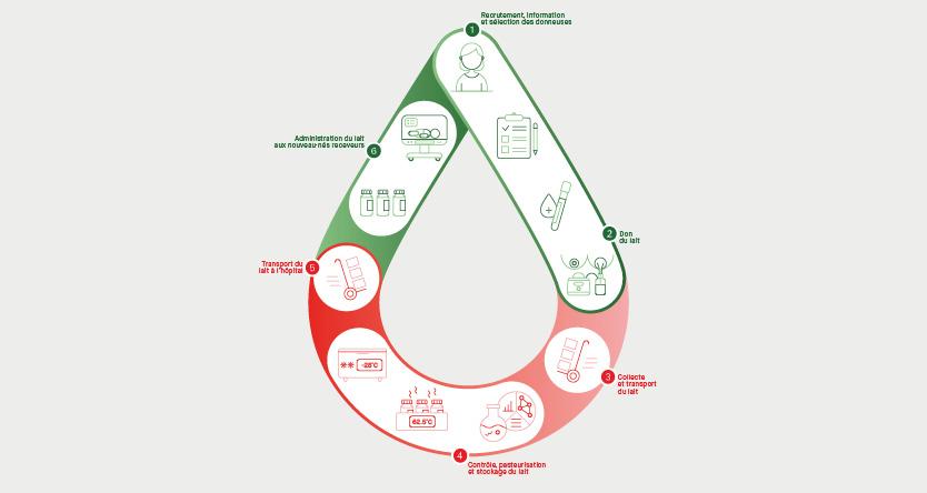 Le parcours sécurisé du lait maternel. [CHUV]