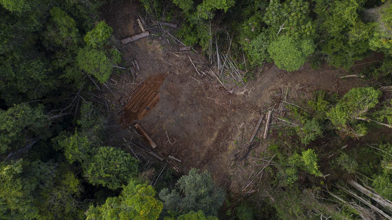 Des patrouilles de populations indigènes équipées de smartphones et de données de satellites ont permis de fortement réduire la déforestation illégale dans l'Amazonie au Pérou. [Keystone - Leo Correa]
