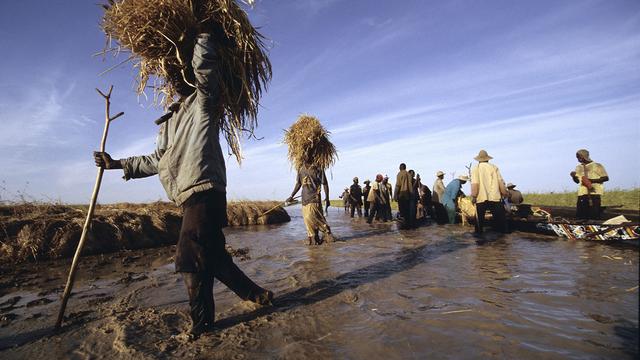 Il est urgent de mettre la priorité sur les populations civiles, dit le collectif d'ONG. [Biosphoto/AFP - Angélique&Guy Bescond]