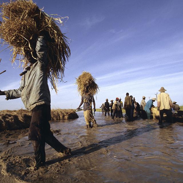 Il est urgent de mettre la priorité sur les populations civiles, dit le collectif d'ONG. [Biosphoto/AFP - Angélique&Guy Bescond]