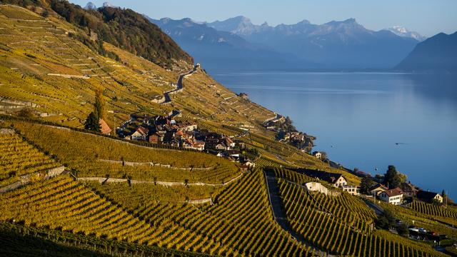 Un vue du Lavaux depuis Riex (VD). [Keystone - Jean-Christophe Bott]