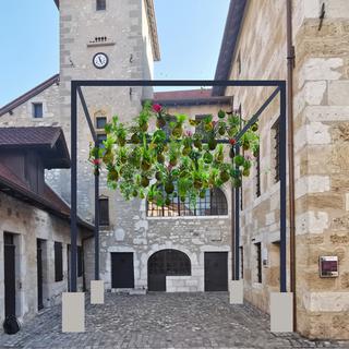 Kokedamas, 2021, Annecy, structure bois, filet métallique, végétaux, 6x6x5 m. [© Judith Dumez & Elisha Joho Monnerat]