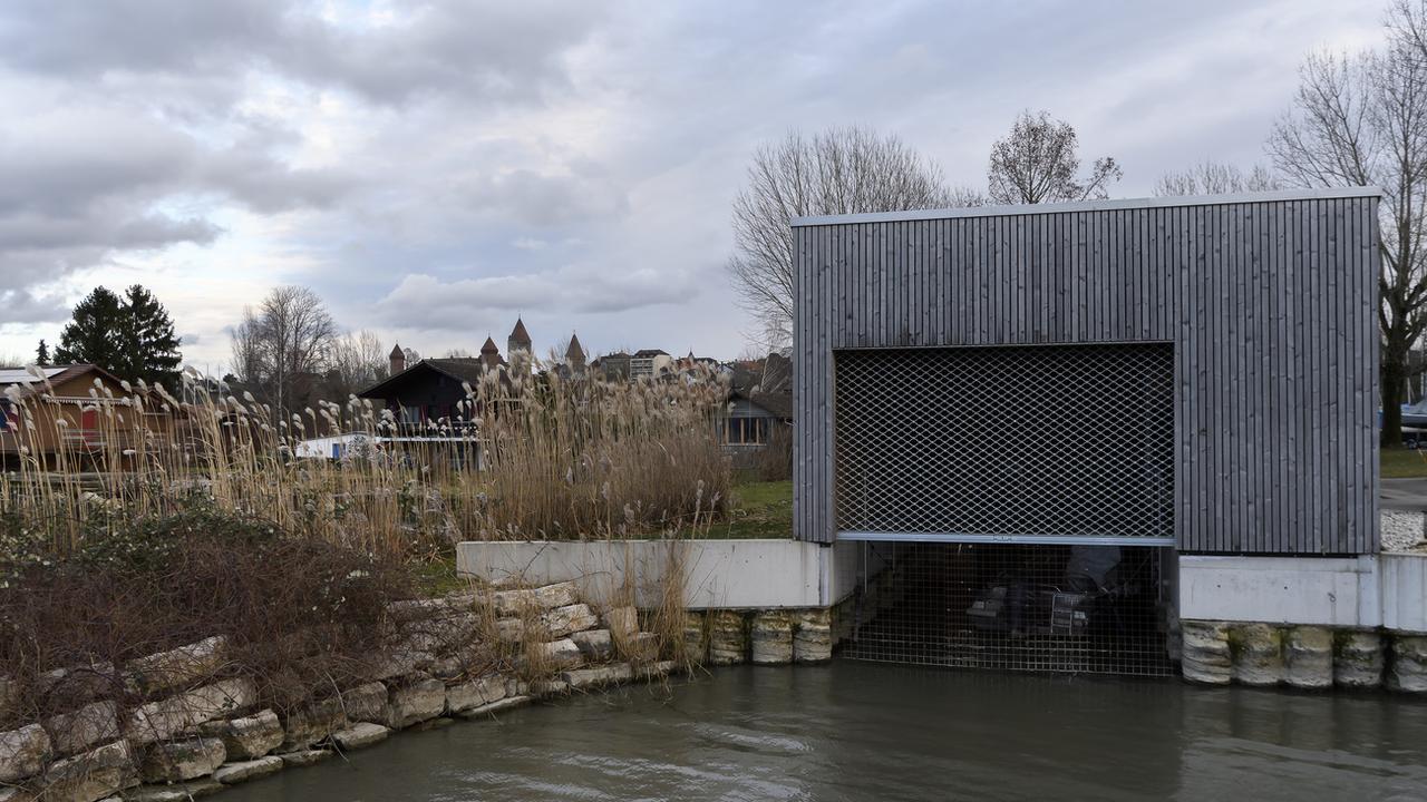La pisciculture d'Estavayer-le-Lac sera remise en fonction. [Keystone - Anthony Anex]