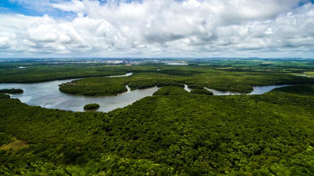 La forêt amazonienne n'est plus le "poumon" de la Terre.
gustavofrazao
Depositphotos [gustavofrazao]