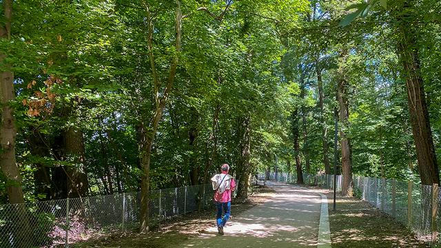 Le Bois de la Bâtie est secteur très appréciés des Genevois. [Ville de Genève]