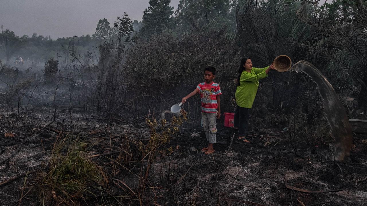 Des habitants tentent d'éteindre un incendie de forêt dans une tourbière, le 4 octobre 2019 en Indonésie. [AFP - Afrianto Silalahi]