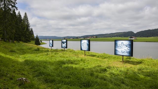 Exposition Naturel? - Lac des Taillères. [plus1000.ch / Hilairadou Dunuya-Niekissé & Ismaela Zrydaoré - Patrick Guerne]