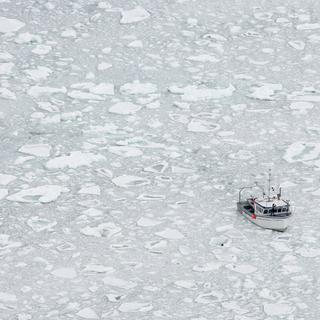 Un bateau de pêche flotte sur le Golfe du Saint-Laurent, au Québec. [KEYSTONE - Jonathan Hayward / AP]