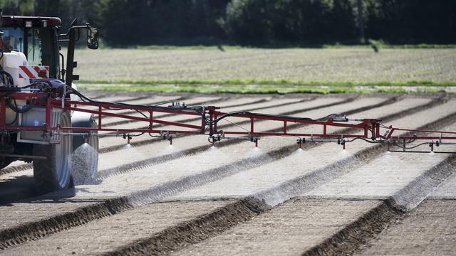 Un agriculture répand un herbicide sur des planches de semis d'épinards, le 17 septembre 2019 à Birmenstorf (AG). [Keystone - Christian Beutler]