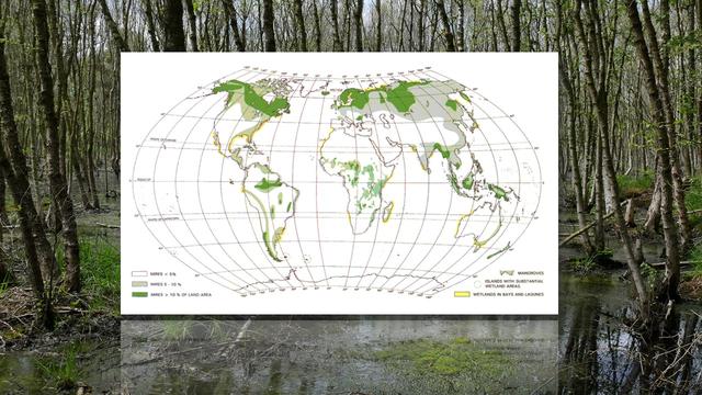 Répartition mondiales des tourbières [IPS/International Petland Society]