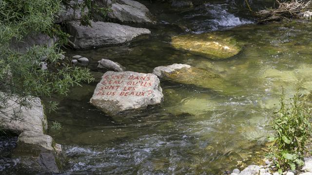 "Écritures", par l'artiste suisse Naomi Del Vecchio. [©Bayart]