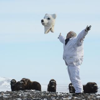 Le chercheur Joël Berger, américain, sʹest déguisé en ours polaire pour étudier les réactions des bœufs musqués. [www.nature.com - ©Sergei Abarok]