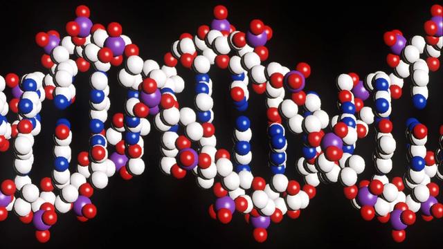 La découverte de la carte du génome humain fête ses 20 ans. [EPA - MATTHEW FEARN]