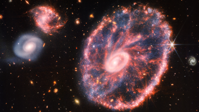 La galaxie de la Roue de chariot, rose, mouchetée, avec un petit ovale intérieur et du bleu poussiéreux; sur la gauche, deux galaxies spirales plus petites de la même taille, à gauche sur un fond noir. Ceci est une image composite: les données de l'instrument MIRI sont colorée en rouge. Celles de NIRCam sont en bleu, orange et jaune. [NASA, ESA, CSA, STScI - JWST]