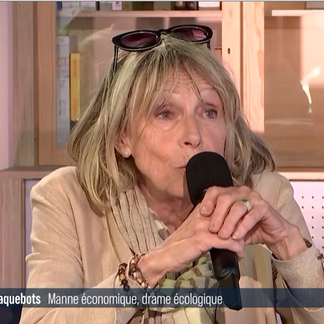 Débat entre Théo Challande Névoret, écologiste, adjoint au maire de Marseille, Philippe Pujol, journaliste, lauréat du prix Albert-Londres, auteur de deux ouvrages marquants sur Marseille et Michèle Rauzier, habitante de Marseille qui tient une chambre d’hôte. [RTS - RTS]