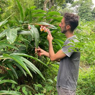 Rémi Asensio, fondateur, avec sa compagne, de l’herboristerie Créole, dans « son » jardin sur la commune de Gros-Morne en Martinique. [RTS - Mélanie Nunès]