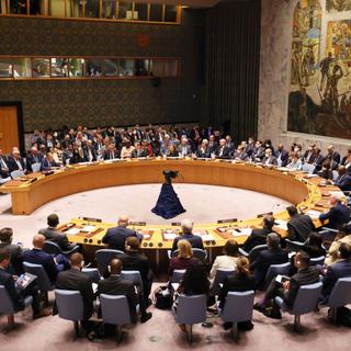 Le Conseil de sécurité de l'ONU réuni à New York le 22 septembre 2022. La guerre en Ukraine était alors à l'ordre du jour. [AFP - M. Santiago/Getty Images]