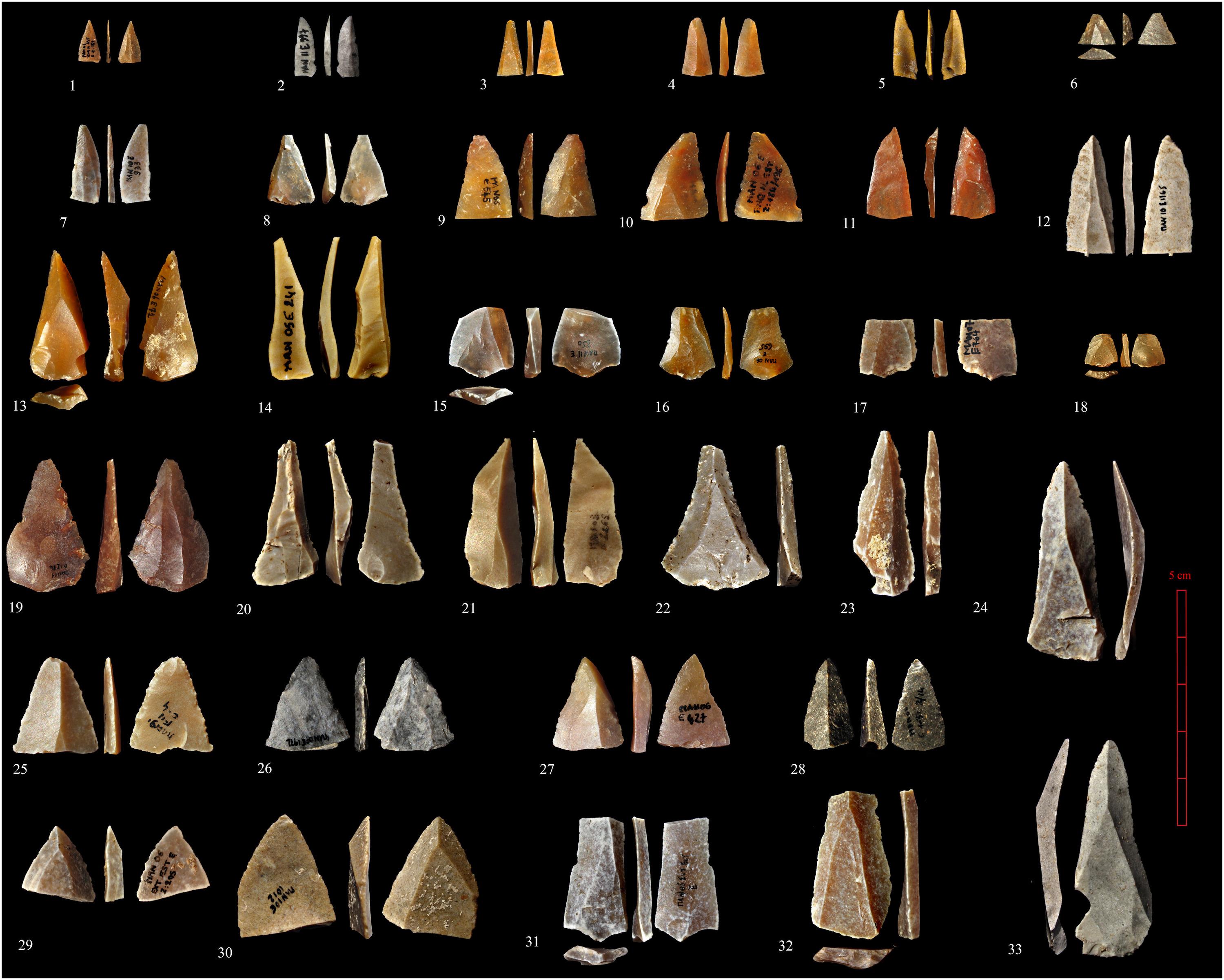 Des pointes et micropointes de la culture baptisée "Néronien", en silex taillé, découvertes dans la couche "E" de la Grotte Mandrin. [Science.org - CNRS]