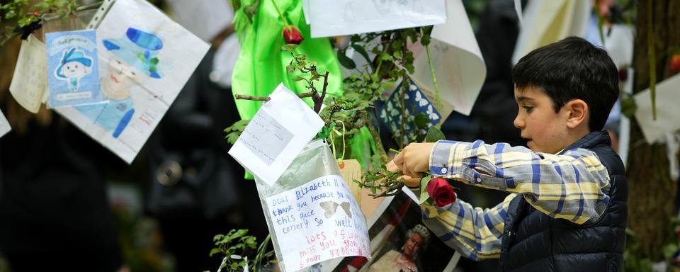 Des milliers de fleurs et des dessins ont été déposés à Green Park à côté de Buckingham Palace. [Keystone - AP Photo/Petr David Josek]