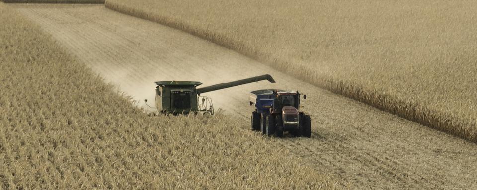 Le nombre d’exploitations agricoles a diminué de plus de moitié en Suisse depuis 40 ans (image d'illustration). [Keystone - Tannen Maury]