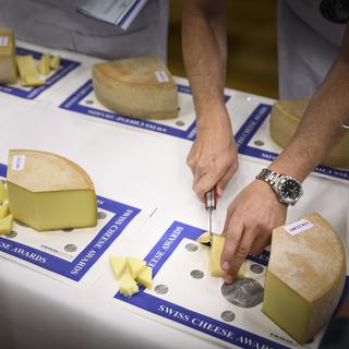 Le Swiss Cheese Awards a pour but de promouvoir la qualité des fromages suisses. Image d'illustration. [Gabriel Monnet]