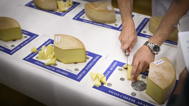 Le Swiss Cheese Awards a pour but de promouvoir la qualité des fromages suisses. Image d'illustration. [Gabriel Monnet]