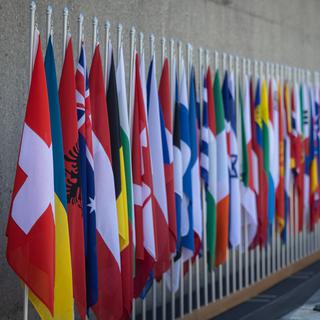 Les drapeaux des différents participants de la Conférence de la reconstruction de l'Ukraine à Lugano. [Keystone/Ti-Press - Massimo Piccoli]