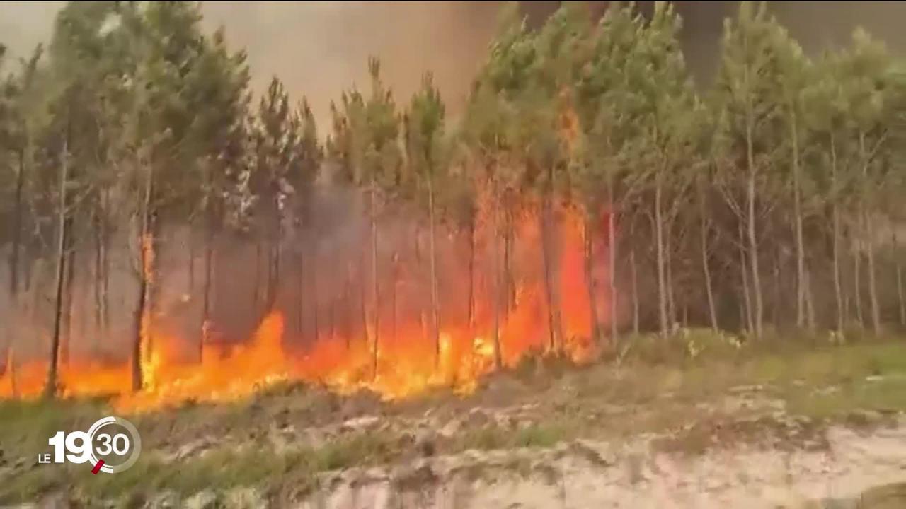 Dans le sud-ouest de la France, plus de 10'000 hectares de forêt sont partis en fumée depuis mardi