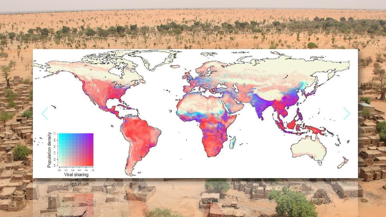 Zones à risques pour la propagation des maladies dont le pathogène, bactérie, virus ou parasite peut être transmis de l'animal à l'Homme et inversement [Gregory Albery, Colin Carlson/Nature/Wikipedia - Ferdinand Reus]