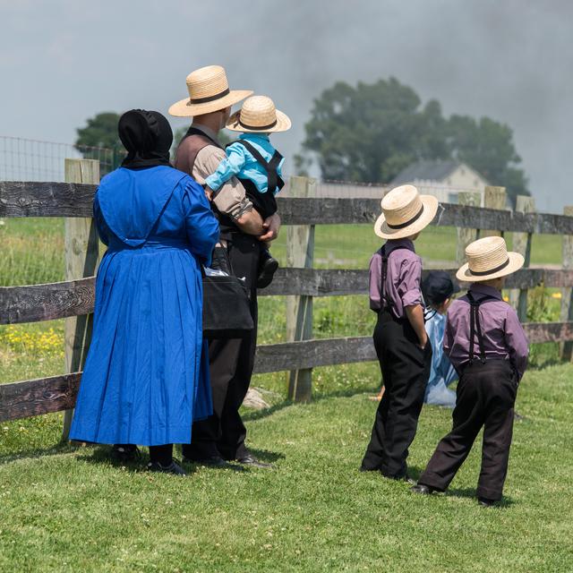 Les Amish ont un embarrassant héritage génétique helvétique. [Depositphotos - izanbar]