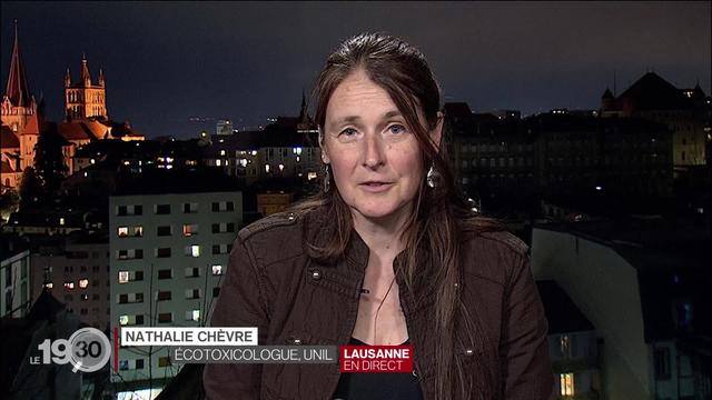 Pollution au chlorothalonil : les explications de Nathalie Chèvre, écotoxicologue à l'UNIL