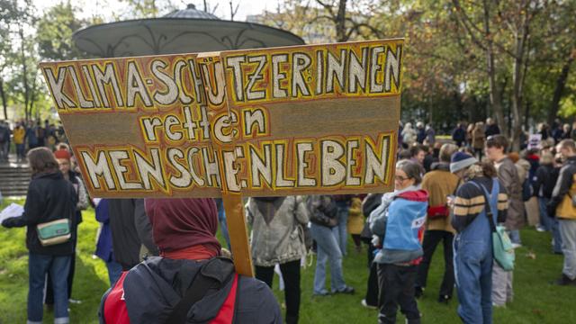 Des manifestants de la Grève du climat bâloise le 5 novembre dernier. [Keystone - Georgios Kefalas]