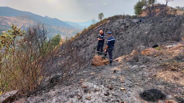 Une colline ravagée par les flammes à Sétif, en Algérie. [afp - Algerian Civil Defense / Anadolu Agency]