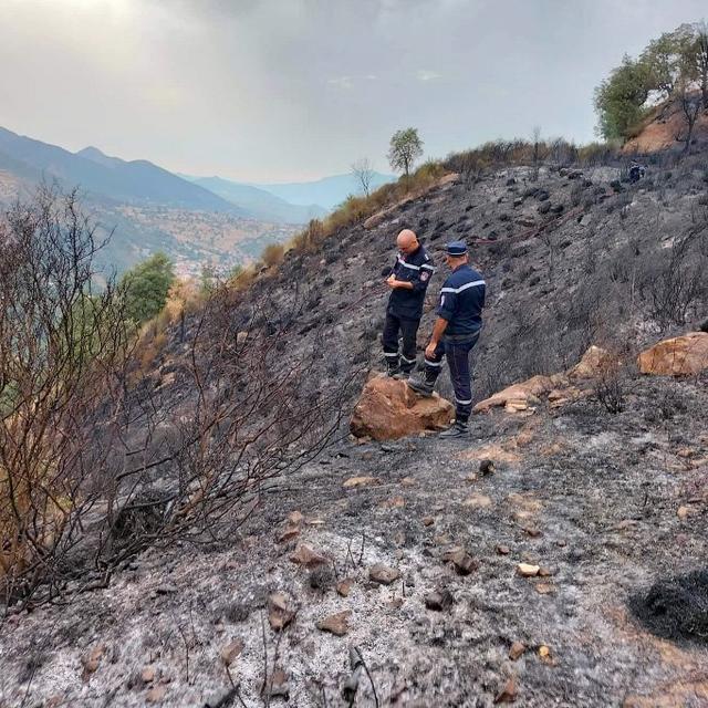 Une colline ravagée par les flammes à Sétif, en Algérie. [afp - Algerian Civil Defense / Anadolu Agency]