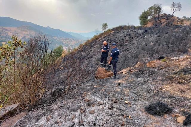 Une colline ravagée par les flammes à Sétif, en Algérie. [afp - Algerian Civil Defense / Anadolu Agency]