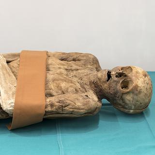 La momie d'Anna Catharina Bischoff, une femme du 18e siècle.
Georgios Kefalas
Keystone [Georgios Kefalas]