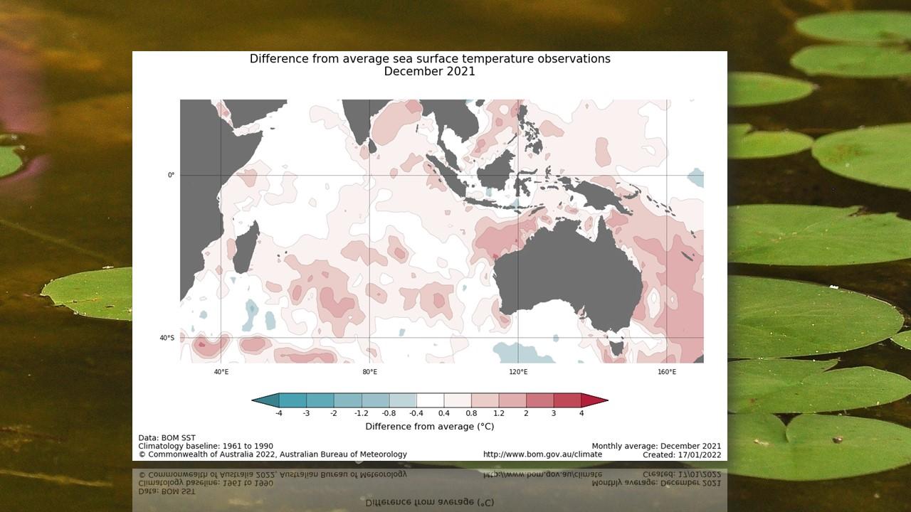 Anomalies de températures à la surface de l'océan en décembre 2021 [Bureau of Meteorology - Australia - Marc Brodard]