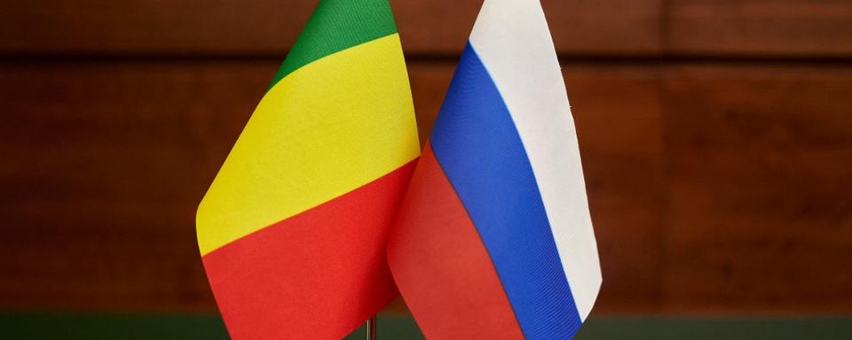 La Russie gagne du soutien au Mali grâce à des relais d'influence. [Russian Defence Ministry]