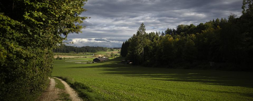 Le dépôt final de déchets nucléaires sera construit dans la région du nord des Lägern, à cheval sur les cantons d'Argovie et de Zurich. [Keystone - Michael Buholzer]