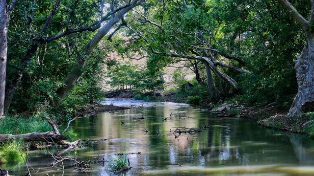 Une vue du Yala National Park à Kataragama, au Sri Lanka. [AFP - Creative Touch Imaging Ltd./NurPhoto]