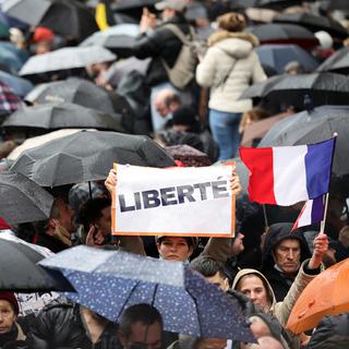 Les manifestations des anti-pass sanitaire ont connu un très net rebond en France. [Reuters - Sarah Meyssonnier]