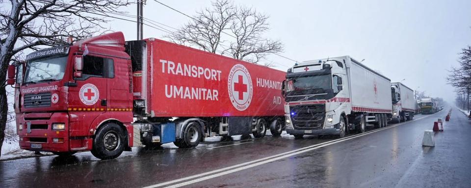 Des camions de la Croix-rouge italienne à Chernivtsi au sud-ouest de l'Ukraine. [AFP/Italian Red Cross - Annalisa Ausilio]