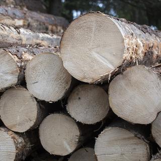 La demande pour le bois de chauffage n'a jamais été aussi élevée en été en Suisse. [Keystone - Urs Flueeler]